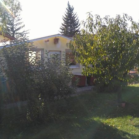 Greenhouse Just 15 Min From The Old Town Bratislava Exterior foto