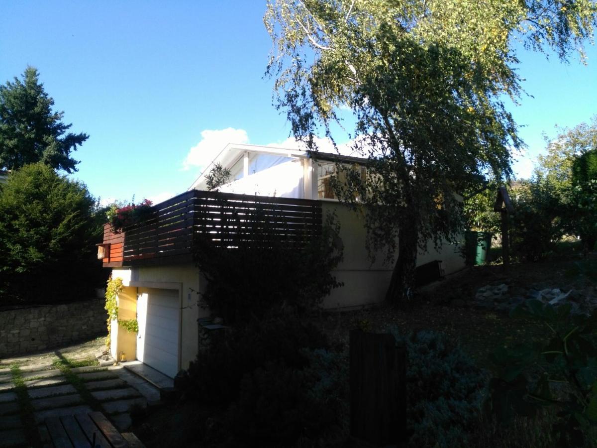 Greenhouse Just 15 Min From The Old Town Bratislava Exterior foto